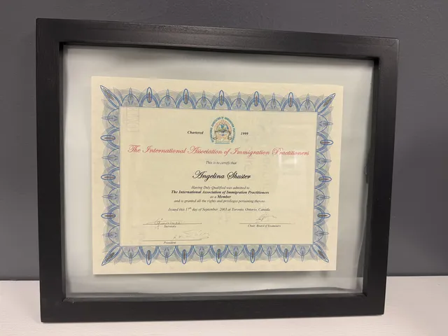 Certificate: Member — International Association of Immigration Practitioners, 2003