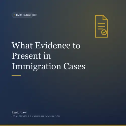 What Evidence to Present in Immigration Cases